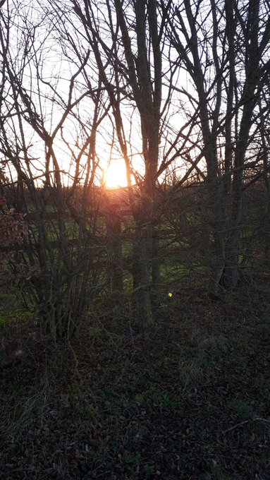 Quoi de mieux que de se balader au coucher du soleil apr&egrave;s une longue journ&eacute;e ? Avez vous une id&eacute;e ?