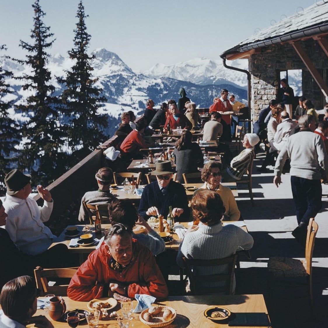 If you don't do it this year you'll be year one older when you do ... join us on the slopes ⛷
.
📸 @collectivelywiser
.
.
.
#stambecco #stambeccoamaro #maraschinocherry #maraschino #amaro #bittersweet #cocktails #ibex #italianalps