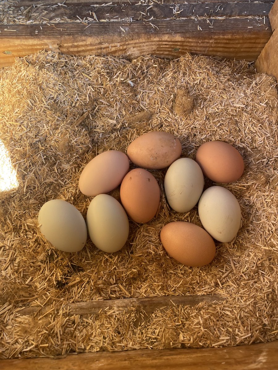 Mjschurr's tweet photo. It must be springtime!!!! https://t.co/1ThUomd6VK