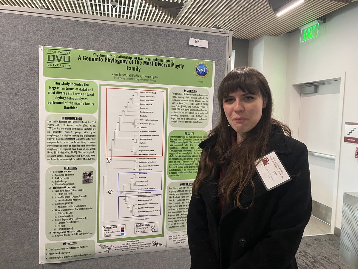 OgdenLab tweet media