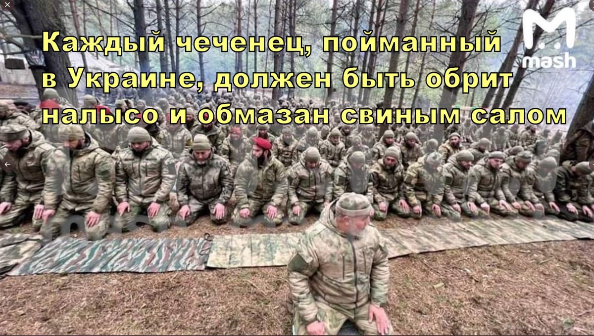 Башня вайнахов. Ингушетия 2018 2019 митинг. Шатой чечня достопримечательности. Идем по земле чечни. Ингушетия 2018 2019 митинг.