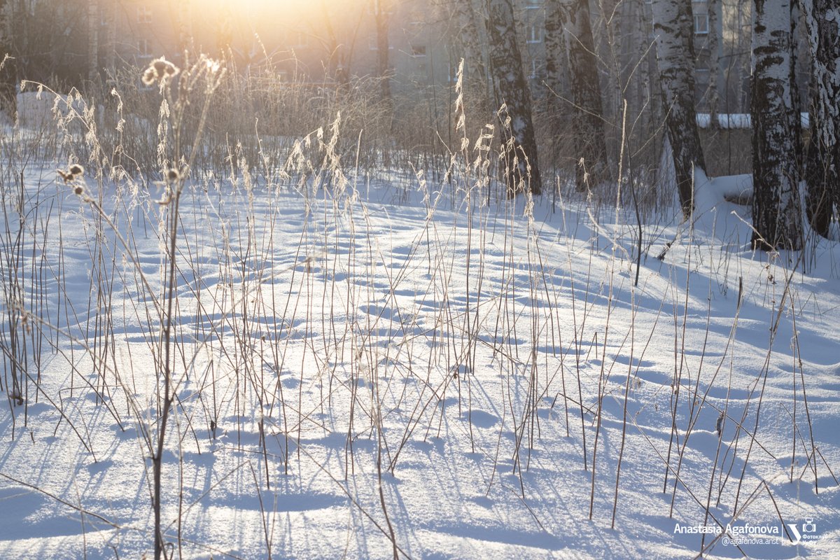 urfu's tweet photo. ☀️ С каждым днем солнышко все теплее. Весна близко!

Хороших выходных😊 https://t.co/dEFdcoKM6z