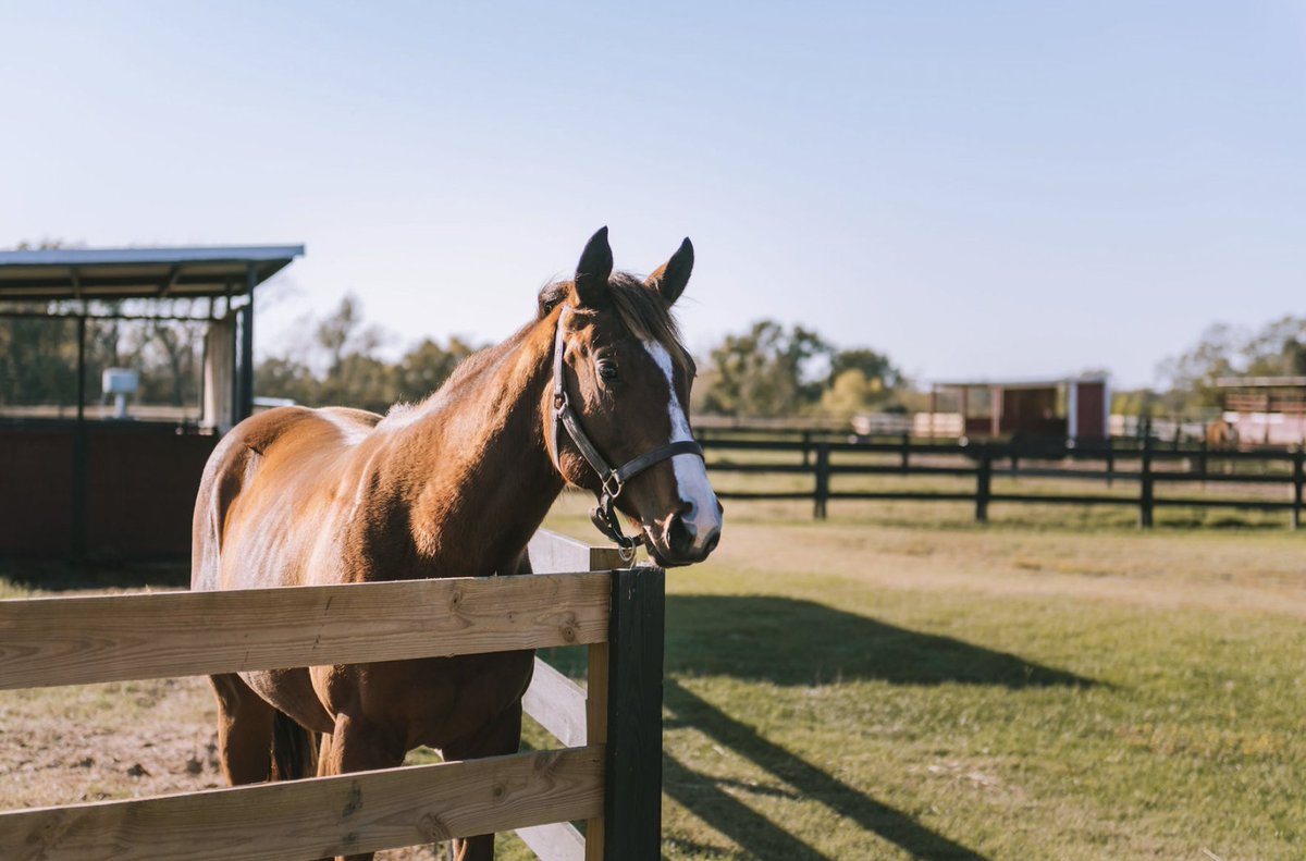 We are 4 #followers away from 300! Can you help us get there?

Please like, RT, or tag someone you think should follow us to help us reach our goal! #RebelSpirit