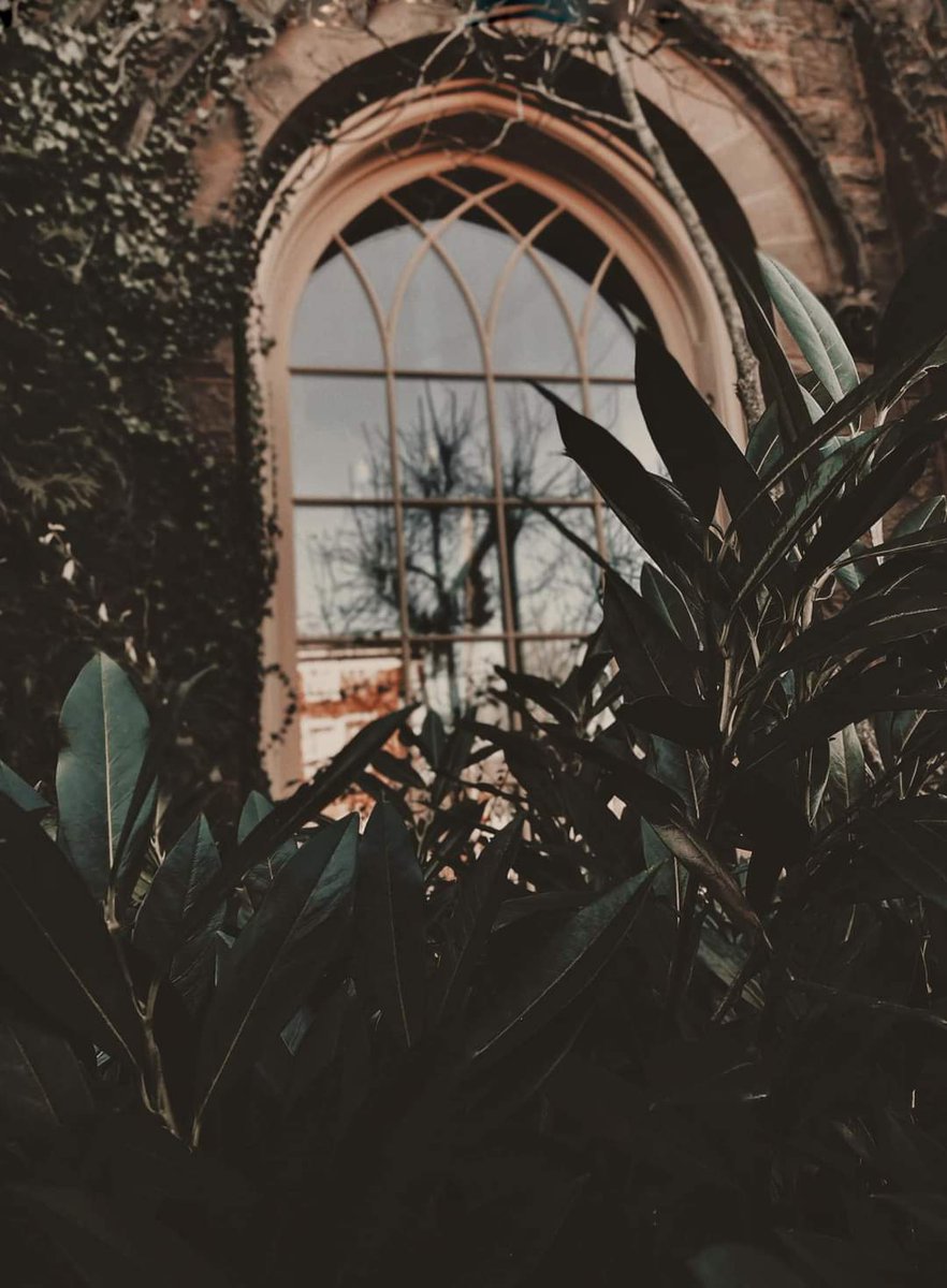 "My heart is a cathedral. Widows ghosts and lovers sit and sing in the dark, arched marrow of me."  – Segovia Amil