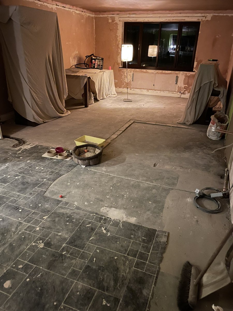 gembell1977's tweet photo. Day 11 in the kitchen conversion chaos and yet again I spent a good hour giving it “a bit of a clean” 🧽 🙄 There’s dust on the dust on the dust but my windows are sparkly clean again - until the builder returns tomorrow!#wasteoftime #embracethefilth https://t.co/ftaDns5SDA