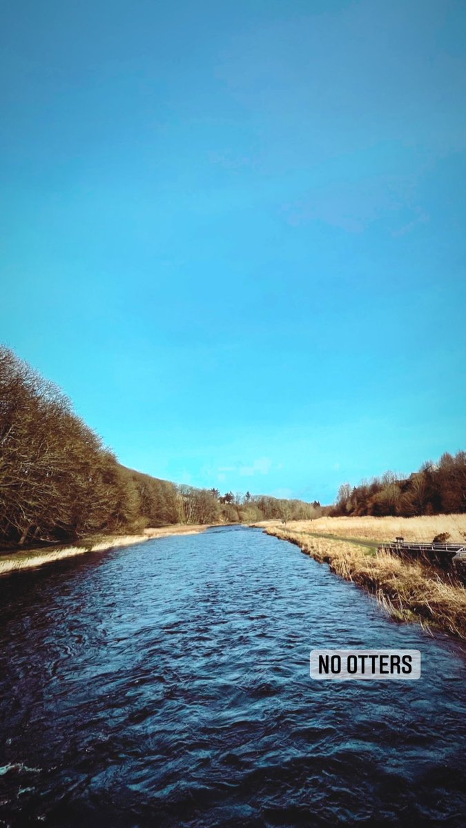 cazzy9x's tweet photo. What a glorious day for a walk round the Highlands! ☀️❄️
#dunnetbeach #dunnethead #thursoriver #highlands #scottishhighlands #scotland https://t.co/3Rnz8ccJGh