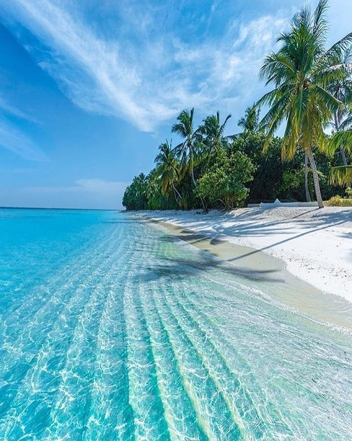 Travitinerary's tweet photo. I followed my heart and it led me to the beach 🏖️ https://t.co/u6nxkxgzEw