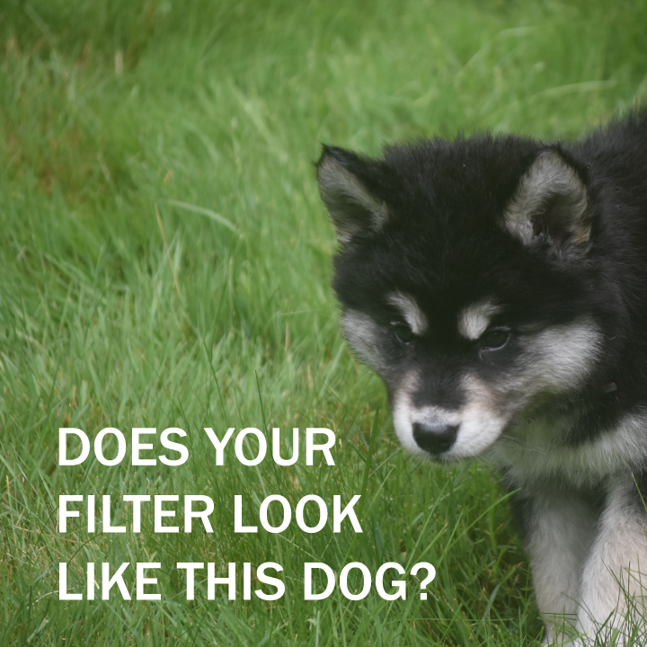 FlowRightInc's tweet photo. Grey dogs are cute. Grey furnace filters are concerning. This is a friendly reminder to swap out your furnace filter monthly! https://t.co/xhZipTdTMc
