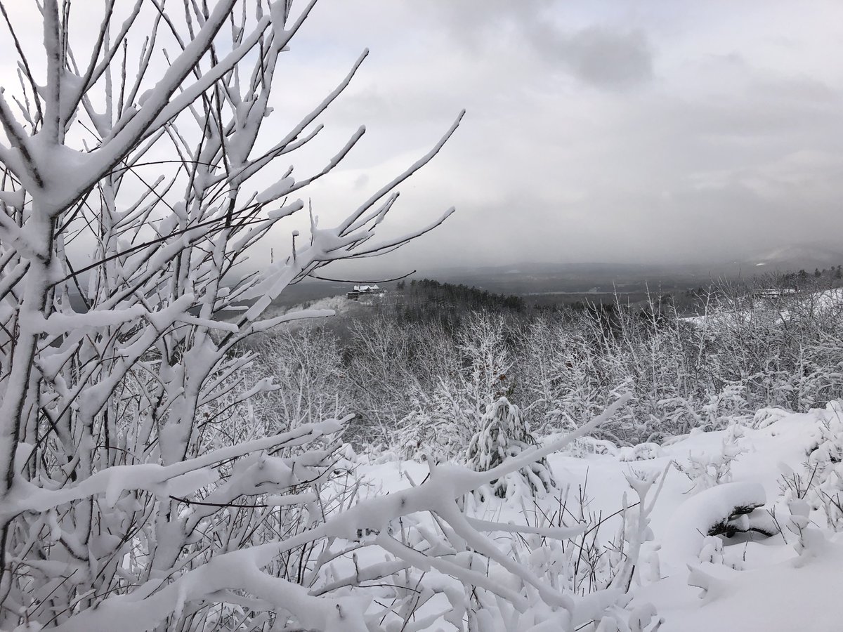 Castle in the Clouds tweet media