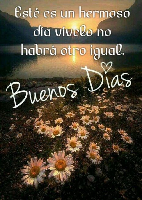 Excelente día 💓☀️