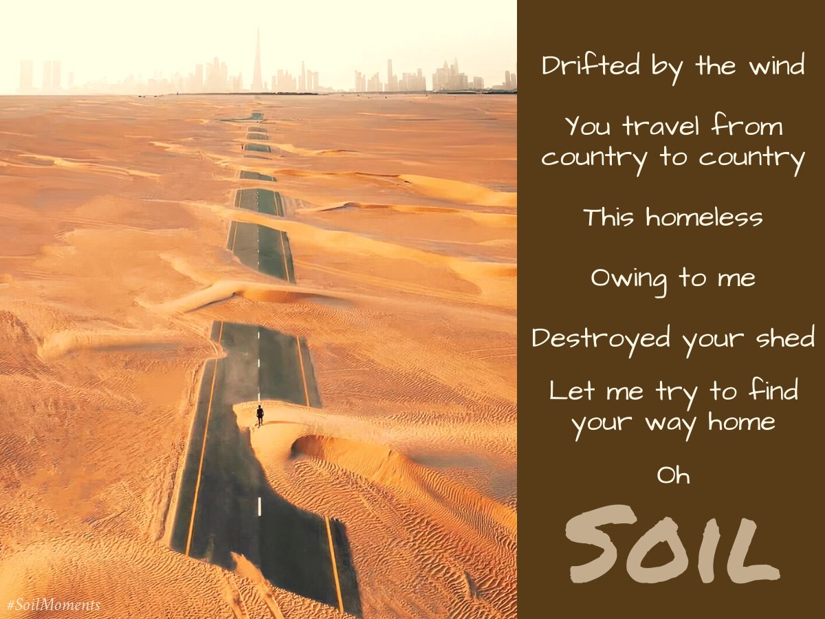 WeForCPlanet's tweet photo. #SoilMoments Every year, around 2,000 million tons of dust enter the atmosphere. A large part of it is the result of poor water and land management @WMO
By 2050, 90% of Earth's soil could be degraded @UNCCD
#Nohomeless ❤️🩹 #SoilUnderSheds🌳
It is time to #SaveSoil @cpsavesoil https://t.co/fxcZUKkIeH