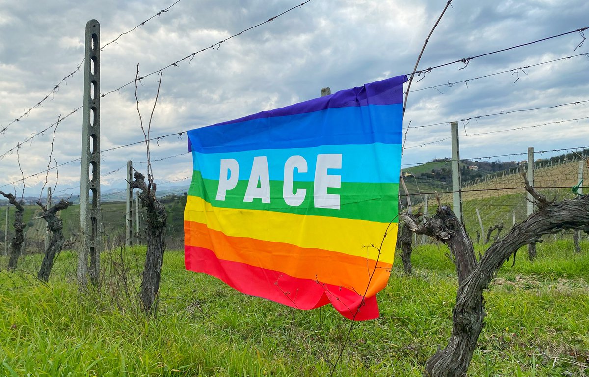 #WeStandForPeace ☮️ #MakeWineNotWar #ukraine #peace #pace