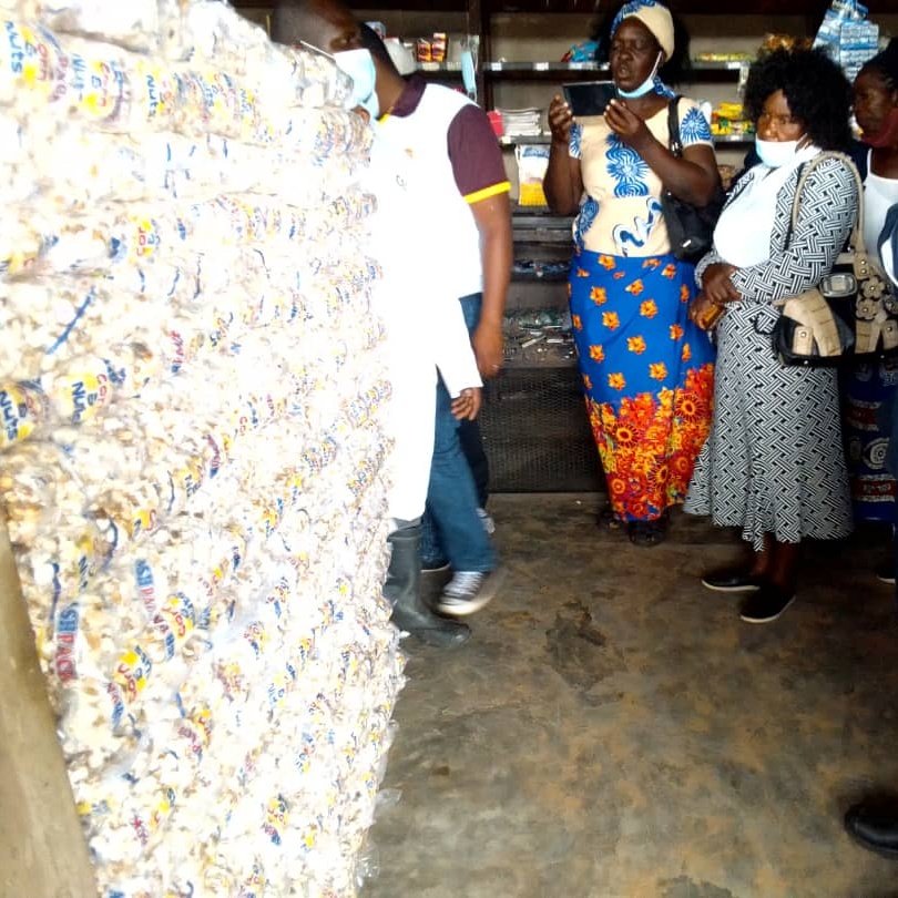 apt_zimbabwe's tweet photo. Encouraging 2 learn fm @ZRBFZIM #MELANA supported farmers that @LFSPZim supported Guruve based Maholly Enterprise is flourishing. Farmers visited the maputi popping business to learn about the business potential and were greatly encouraged. #SustainableDevelopment @UKinZimbabwe https://t.co/BnAFnhGlJN