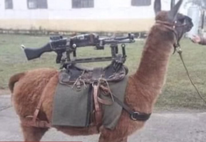 Buenos días, tunie a mi pgod