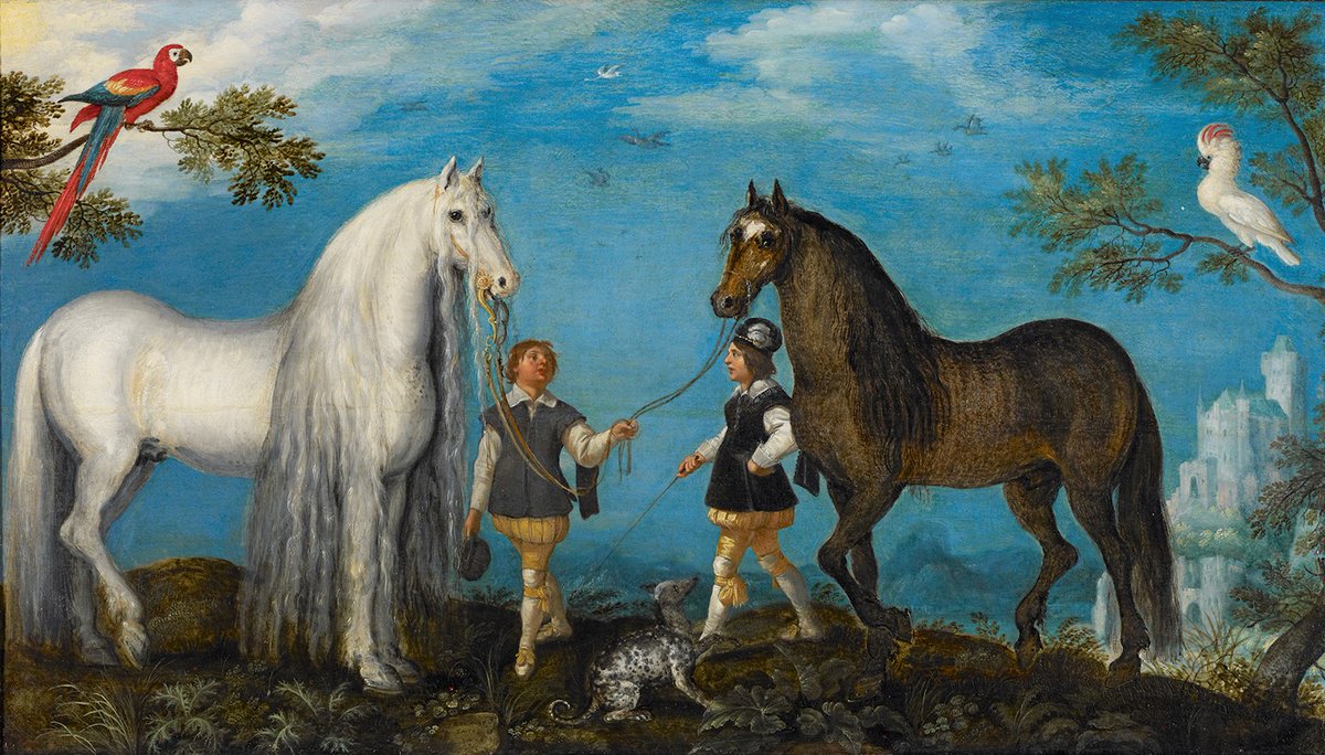Two extraordinary horses, a parrot, and a cockatoo