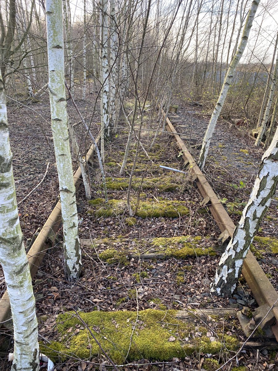 Elwick70's tweet image. “After inspecting the line, I can confirm that the line is blocked…”