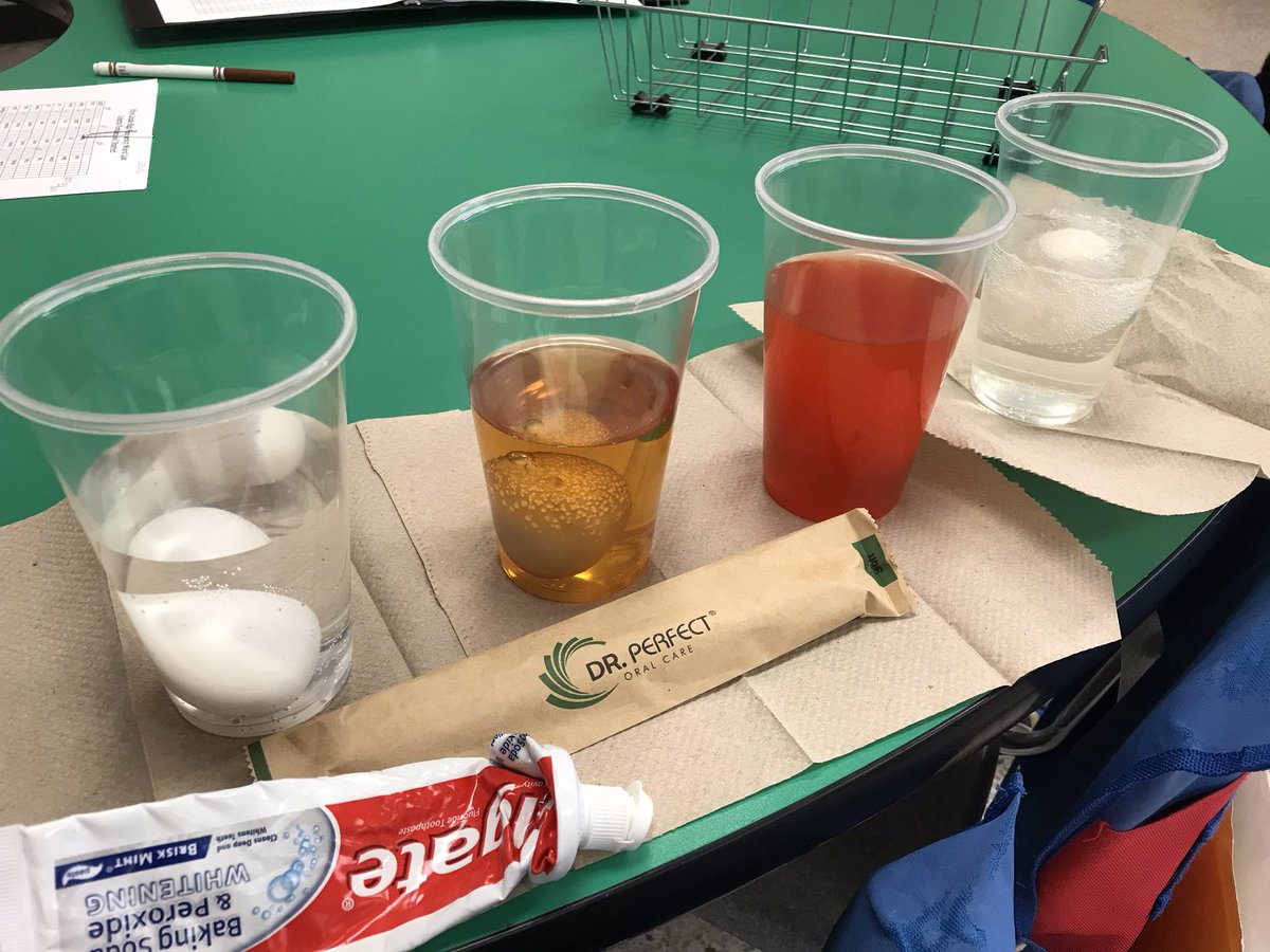 mrshueysclass's tweet photo. Will we be able to get these eggs clean? @HayshirePOWER @sthomascysd https://t.co/D2y3MY7zzE
