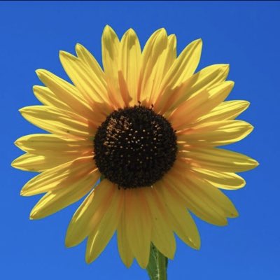 Jschoon007's tweet photo. #NewProfilePic https://t.co/UhV3u2yuAJ