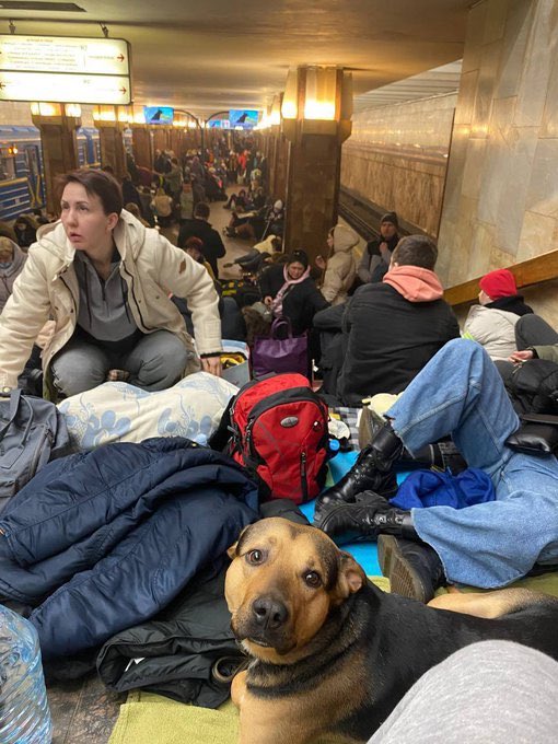 CentinelaMundo's tweet photo. 🇺🇦#UCRANIA| #LoUltimo 

Gente espera para salir en un tren de evacuación de #Kiev a #Leópolis, en la estación central de trenes de la capital. 

La mayoría se dirige al oeste para tener seguridad en otras partes del país, colapsando autopistas de salida y estaciones de tren. https://t.co/mdOmytDRkN