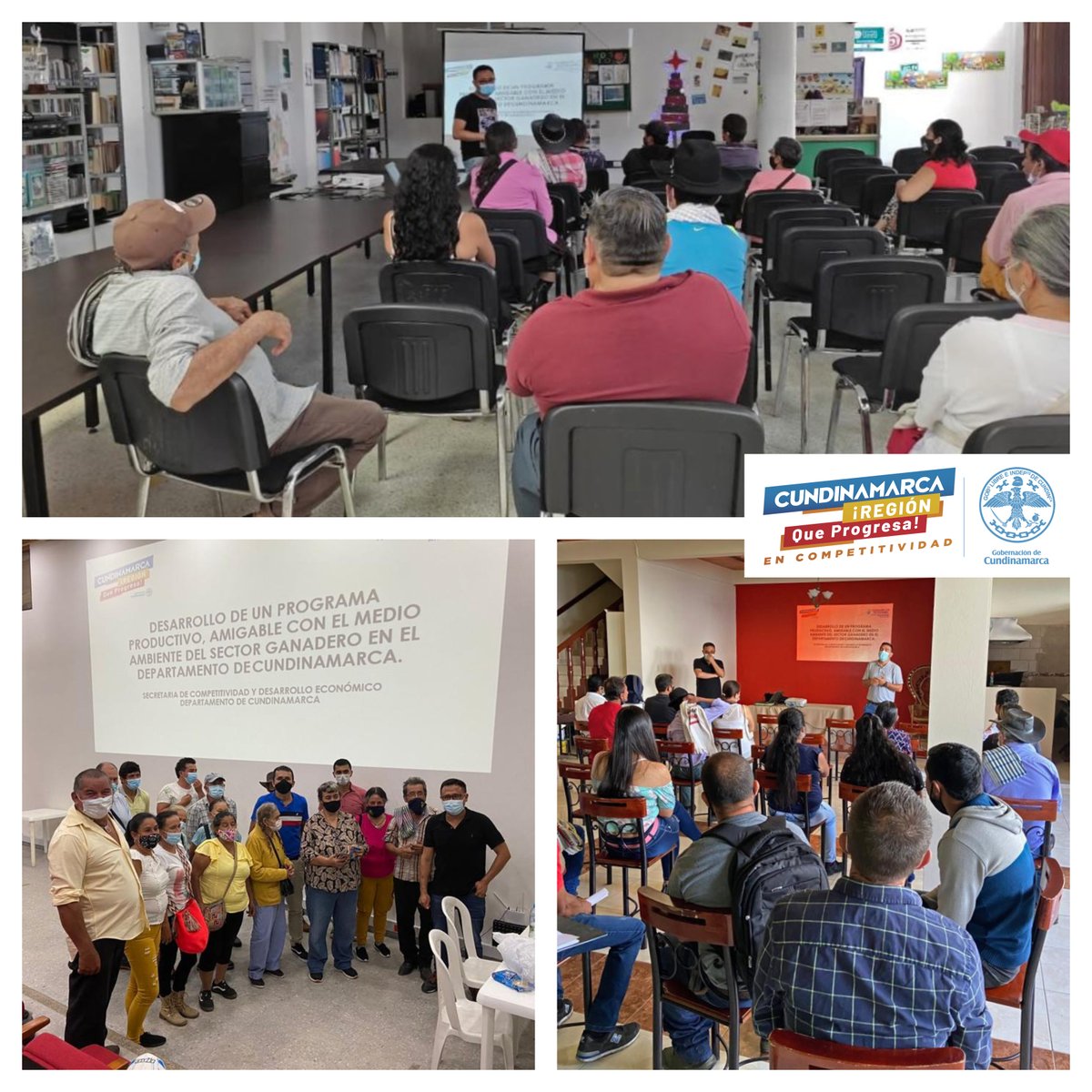 SeCompetiCundi's tweet photo. #Guavio | Con #capacitaciones en inseminación, ultrasonografía bovina, biotecnologías reproductivas y manejo de praderas, el gobernador @nicolasgarciab, por medio del @SeCompetiCundi @juangayalac, en 2021 benefició a #asociaciones de #Guasca invirtiendo más de $220 millones. https://t.co/ETopXQL40u