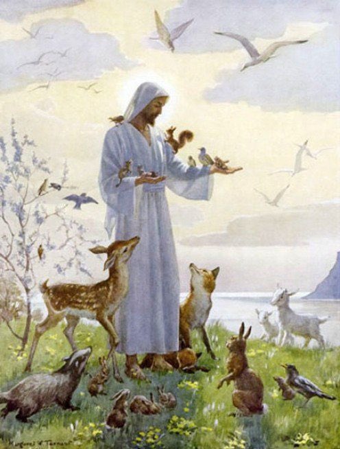 7th_sabbath's tweet photo. Sabbath Day Reflection @7th_sabbath
#sabbathdelight #creator #creatorGod #creatorofallthings https://t.co/dnSQlRPgCO