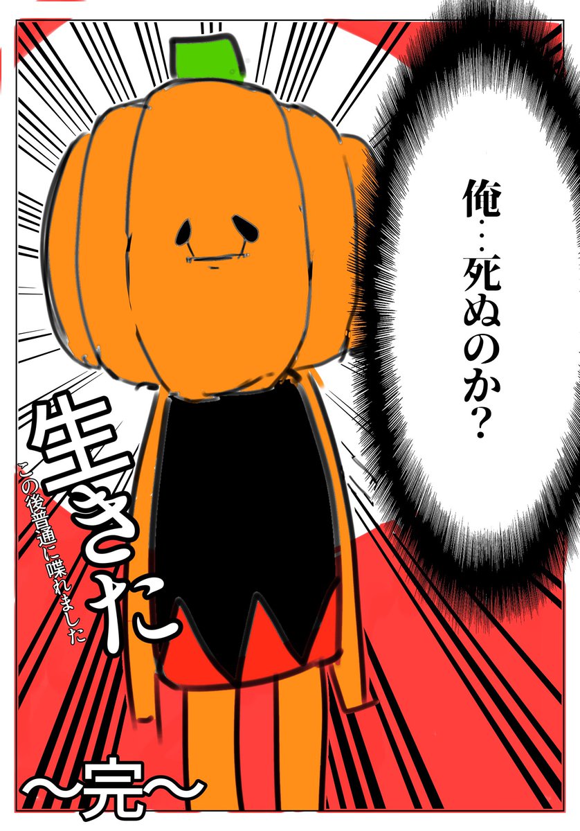 まあ多分一番変わってんのはこのカボチャなんですが… 