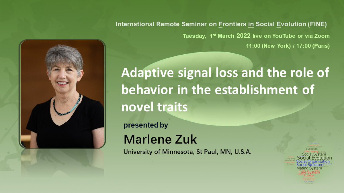 FINE spring series is coming!
Join us next Tuesday (March 1) to hear Dr. Marlene Zuk talk about how parasitism risk and mate attraction are balanced in a novel obligately silent male morph in Pacific field cricket. 
Youtube: youtube.com/channel/UClXFO…
Zoom: socialevolutionseminar.com/get-involved