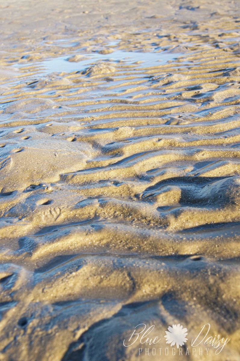 Blue_DaisyPhoto's tweet photo. Naturally formed mounds in the sand, Port Aransas, TX #NaturePhotography #beaches https://t.co/VeG6BFw9j1