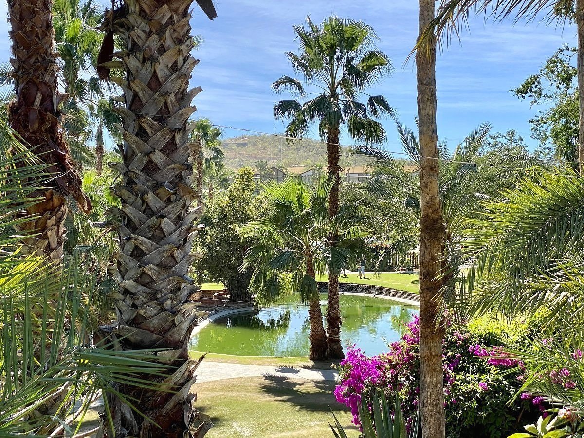 travelingmitch's tweet photo. New newsletter out this morning - a roundup on my time in Los Cabos --> https://t.co/82oz4kJxU5 

If you aren't subscribed and want to be, you can do that here --> https://t.co/72mTATsbhl https://t.co/7lzJ04SZmP