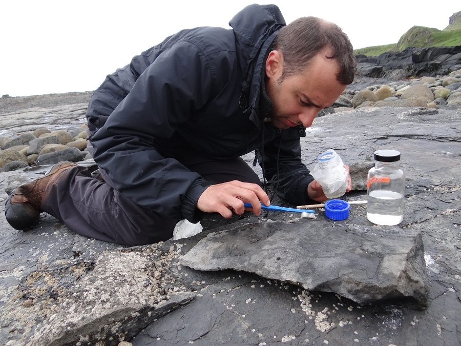 InsideNatGeo's tweet photo. Big news! 🦴 The fossil of a giant flying reptile known as a pterosaur was recently found on the Isle of Skye in Scotland during National Geographic Society-funded fieldwork. 

This huge winged creature lived around 170 mil years ago and had an estimated wingspan of >2.5 meters. https://t.co/WqcGp4mExv