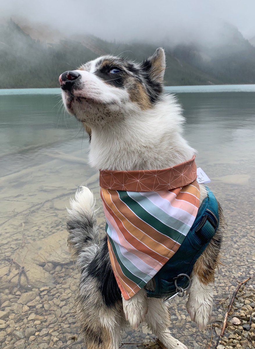 Anyone else wake up to more notifications from Twitter then insta?