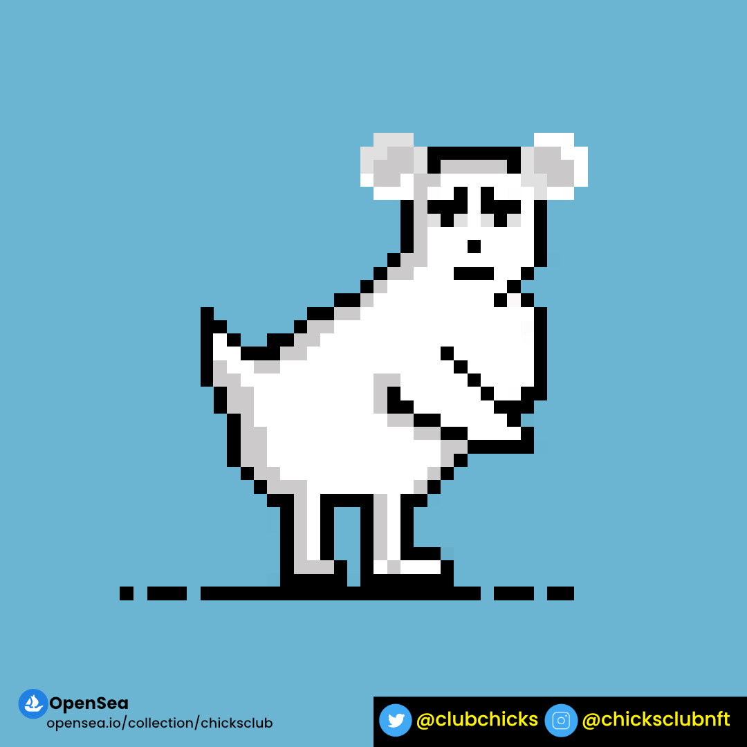 ClubChicks's tweet photo. New drop  NFT❤❤
you can grab it on : https://t.co/bKPmoc892E 

happy chicken day🐣
#NFTCollection #nftcollectors #NFTCommunity #nftindonesia #pixelart #nftchicken #chicken #chicksclub https://t.co/IElgSkiN5T
