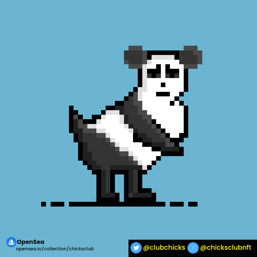 ClubChicks's tweet photo. New drop  NFT❤❤
you can grab it on : https://t.co/bKPmoc892E 

happy chicken day🐣
#NFTCollection #nftcollectors #NFTCommunity #nftindonesia #pixelart #nftchicken #chicken #chicksclub https://t.co/IElgSkiN5T