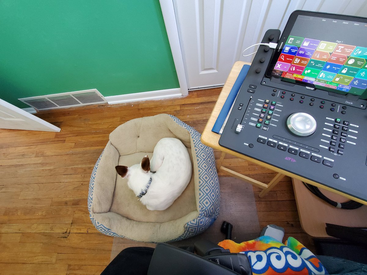 PeterReidJones's tweet photo. The studio's mixing engineer hard at work:
#dogdad #dogsofgameaudio #composerdog #DogsofTwittter #dogsofinstagram https://t.co/D8OfVJBe9y
