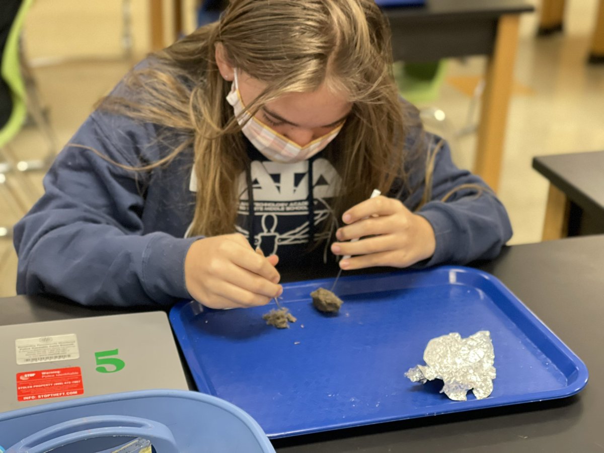 MrsFlowers_3009's tweet photo. Using a dichotomous key to identify organisms in owl pellets. @dataedwhite @EdWhiteScience @NEISD_Science @Rootedin_TX #DATAdoes #theDATAway #DATAfam #ScienceRules #RootEdDATA https://t.co/KXud32N4cv