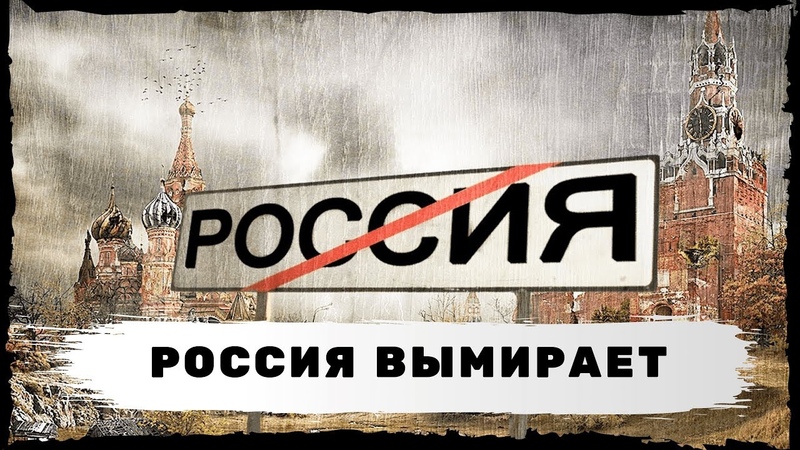 Татьяна Семина tweet media