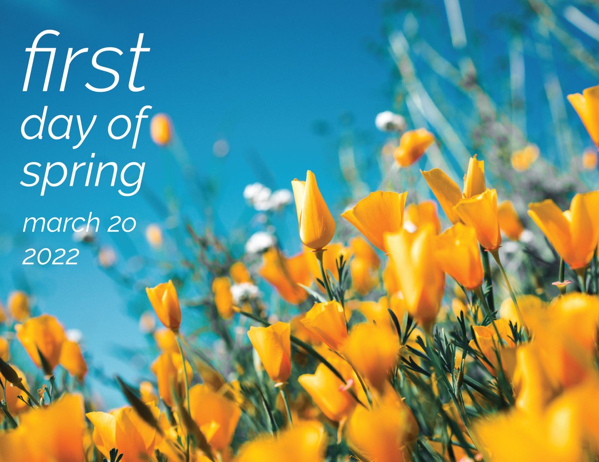 ATU Local 1320 (@atulocal1320) on Twitter photo 