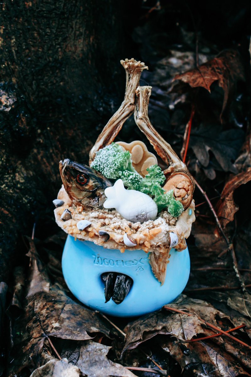 Oakley • Luna • Peanut tweet media