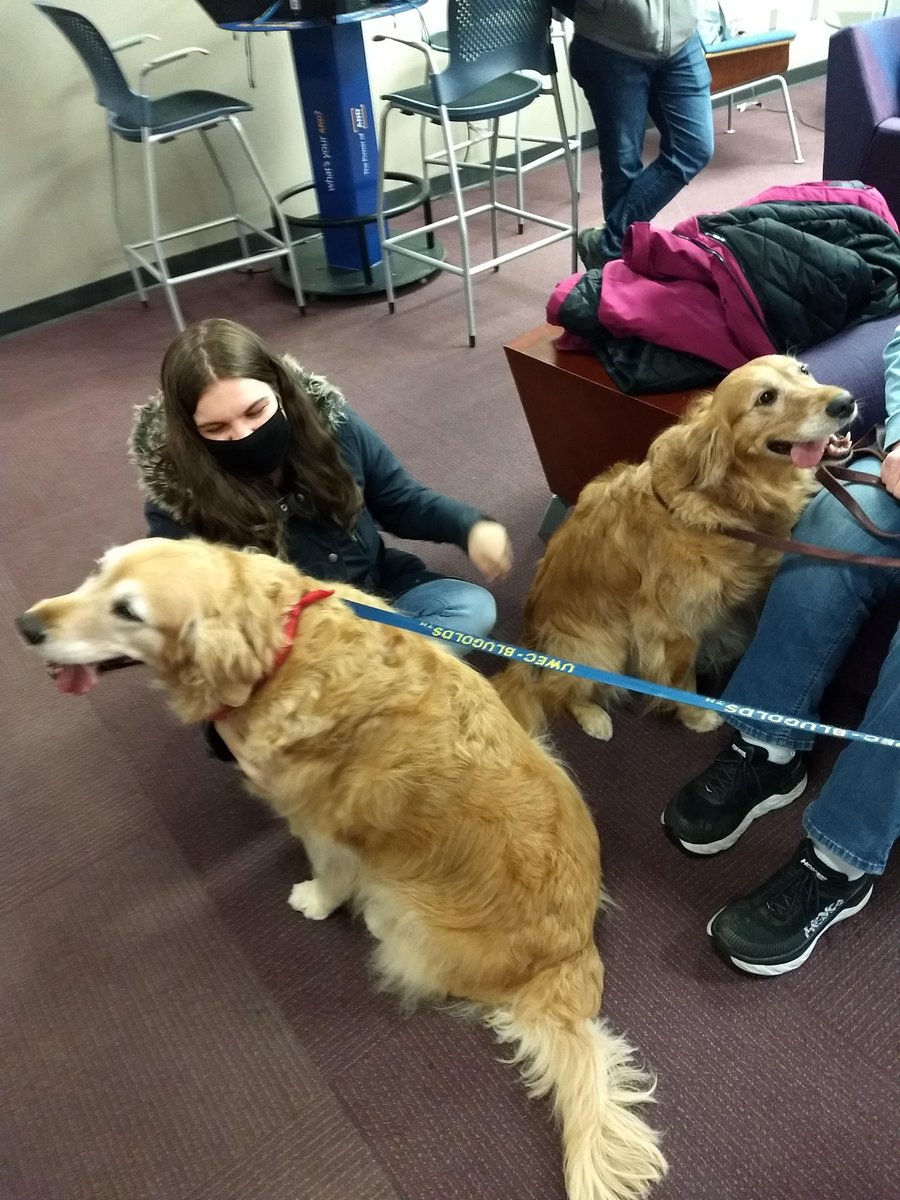 uwec_library's tweet image. ❤️THANK YOU to all of our therapy dogs and volunteers for visiting us this February

We have so many cute pictures, we just had to share them all! Flip through the album on our Facebook page to see if your magic moment was captured: facebook.com/UWECMcIntyreLi…

#UWEC #McIntyreLibrary