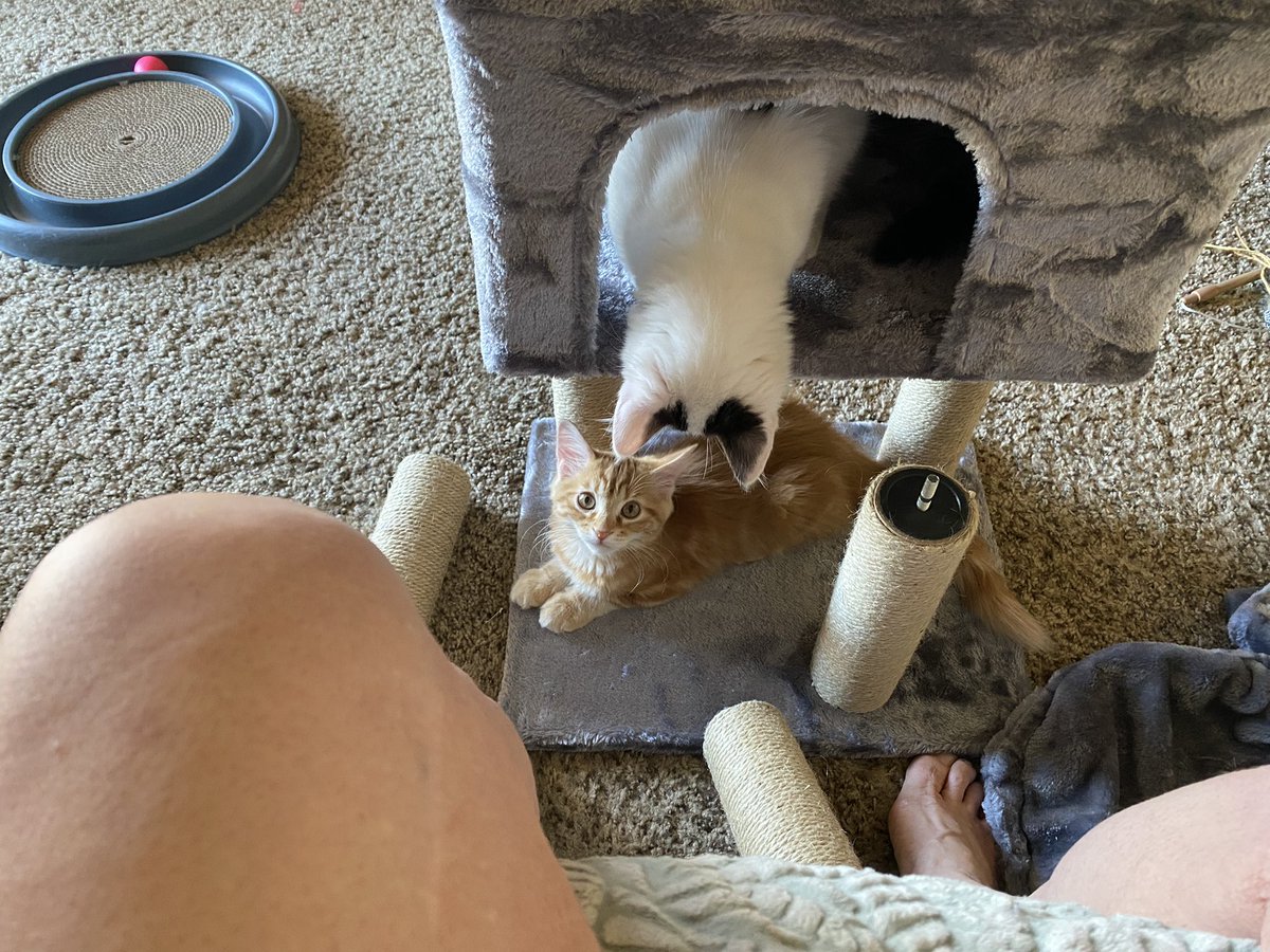 AuntieJaneN's tweet photo. Can we help build this mom? https://t.co/DrEvyZaaoX
