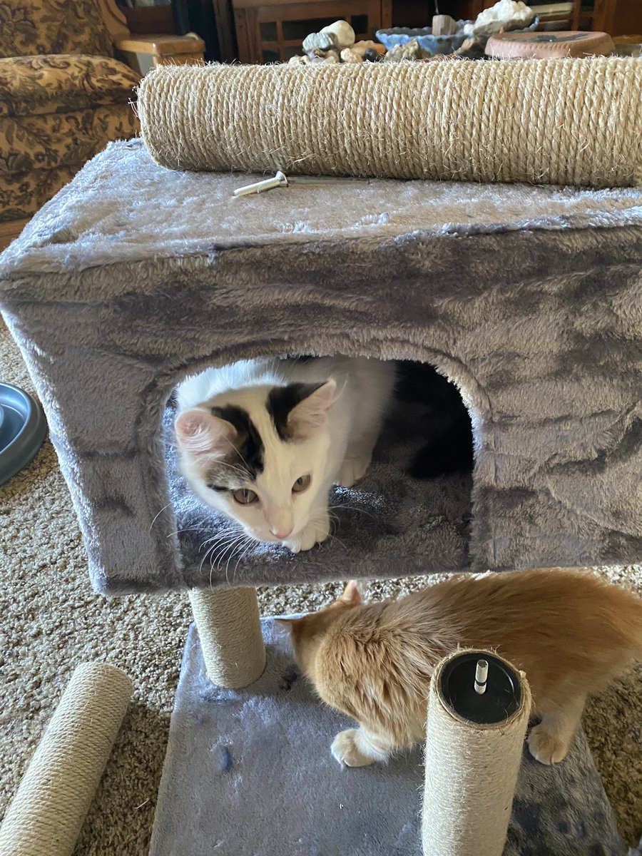 AuntieJaneN's tweet photo. Can we help build this mom? https://t.co/DrEvyZaaoX