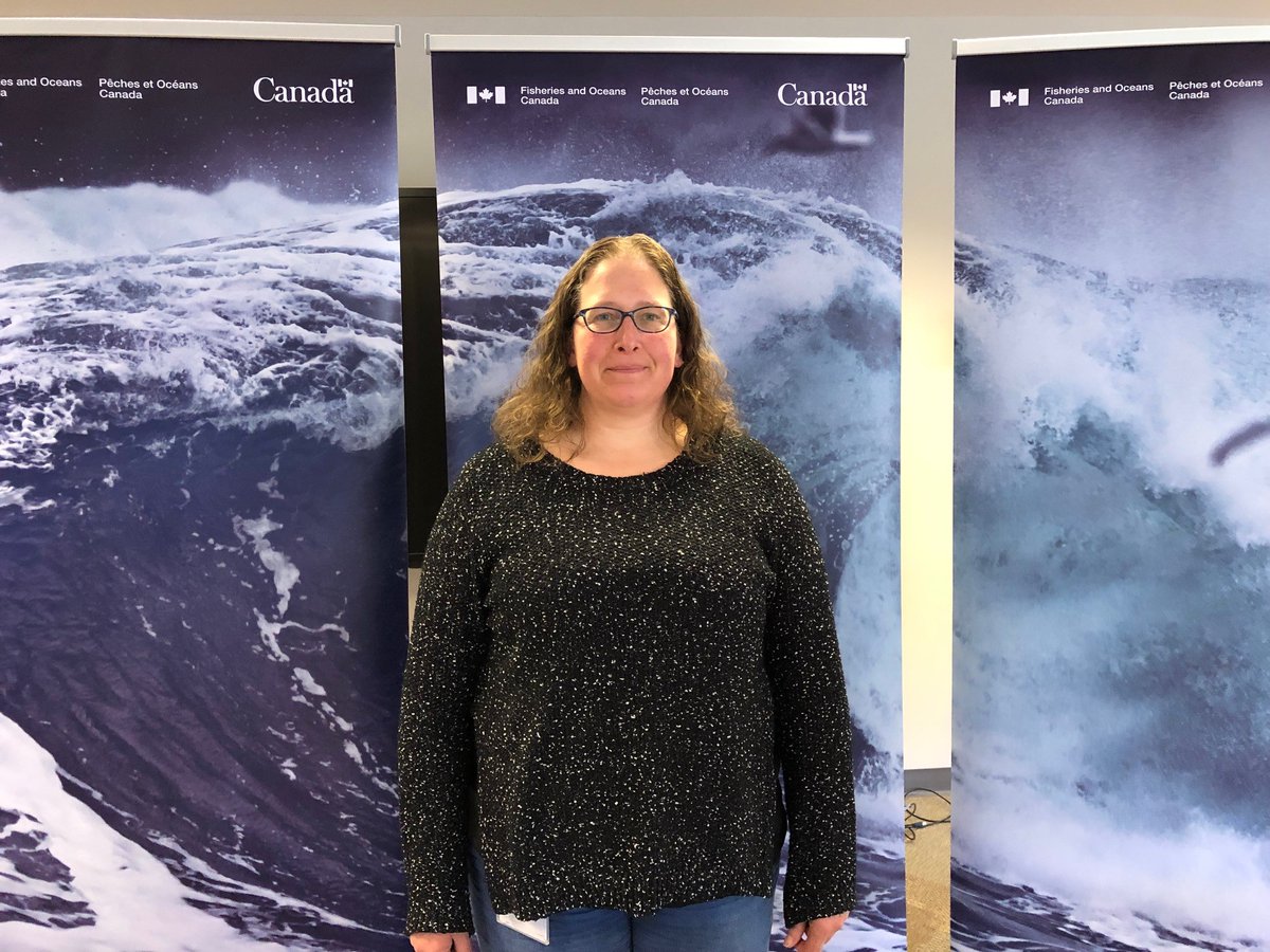 DFO_NL's tweet photo. Today, #DFOScience delivered a technical briefing to stakeholders and media on the findings presented in this year’s Northern shrimp stock assessment. Here are the key takeaways: https://t.co/KlNXSHsrqu