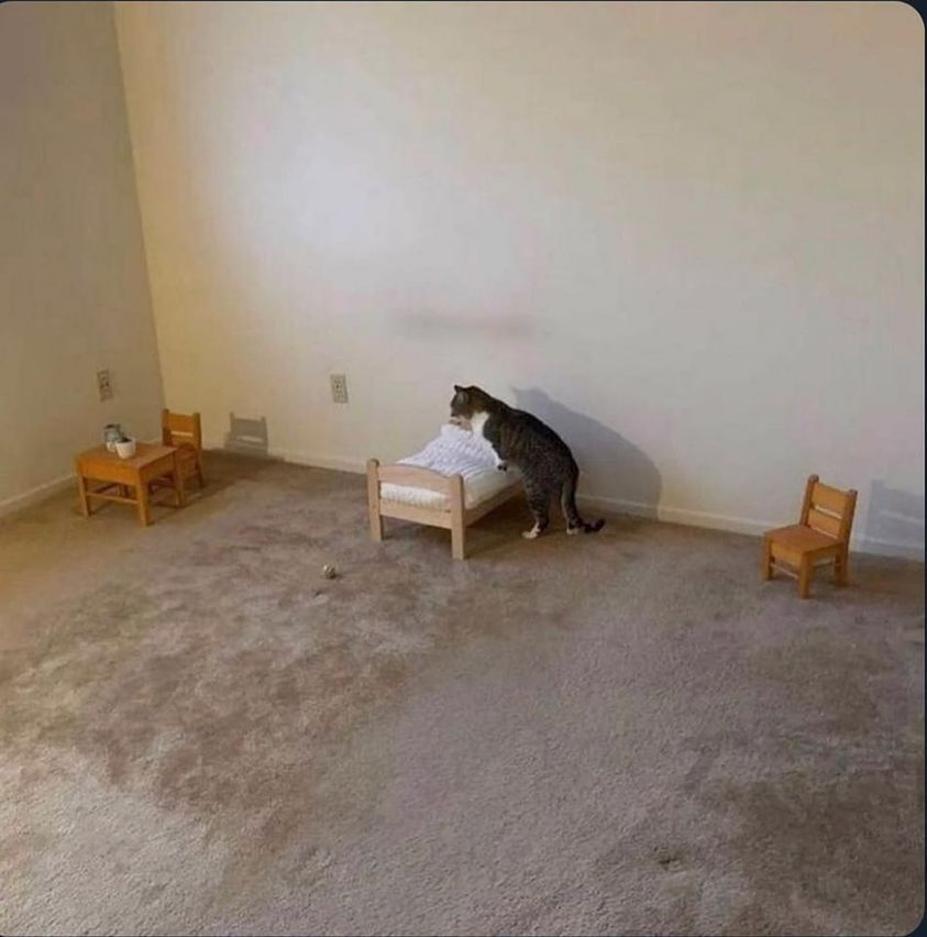 Как не скатываться с горки на механике. Быстро съехались. Лестница для собак. Смешные мемы. Быстро съехались.