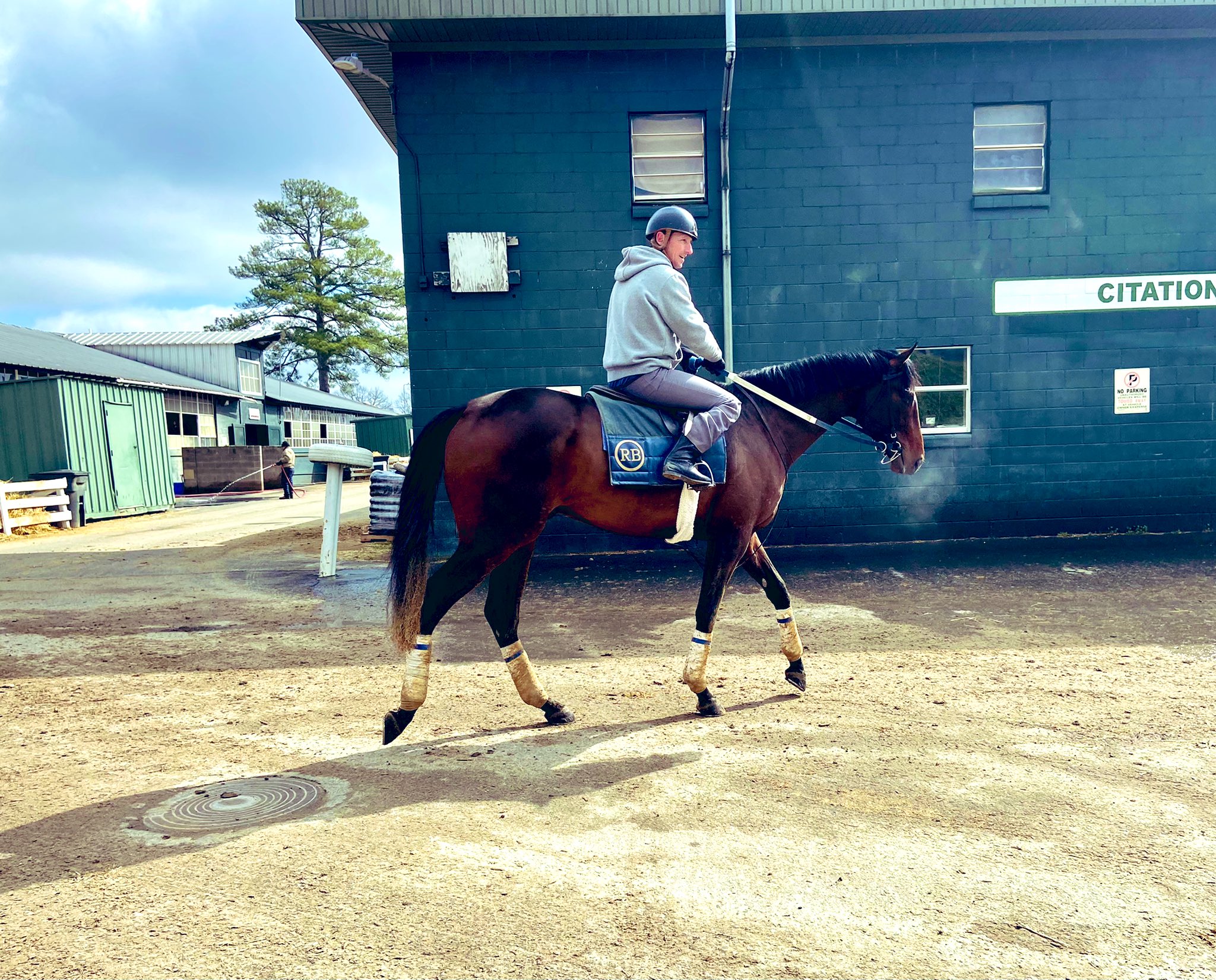 Bradley Thoroughbreds Twitter