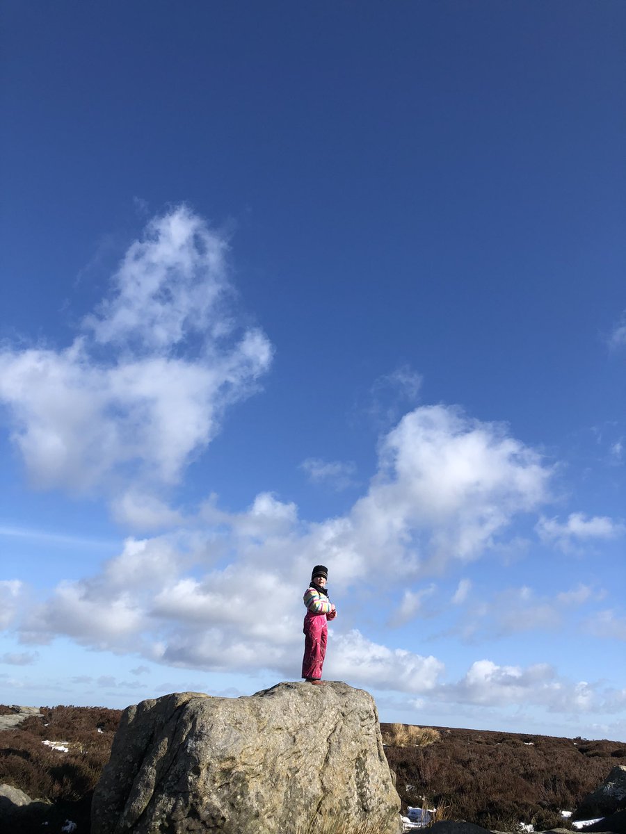 Jilly Taylor tweet media