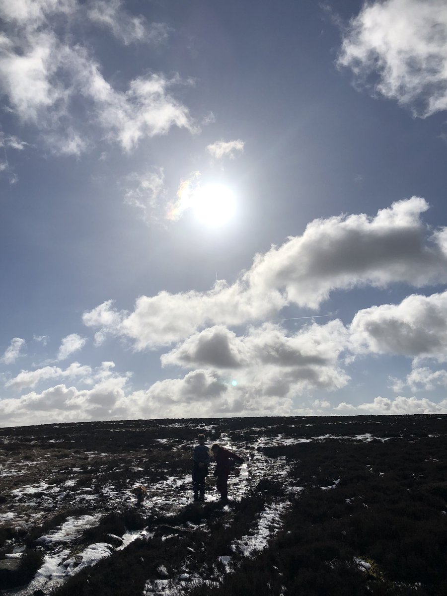 Jilly Taylor tweet media