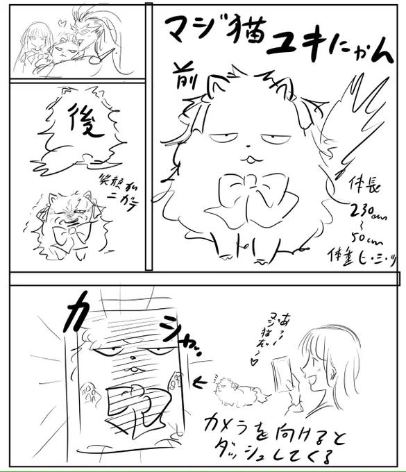 マジカルな猫。 