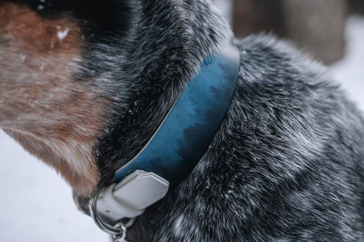 In love with our new collar from Ürra 💙