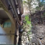 ツイートに含まれる画像