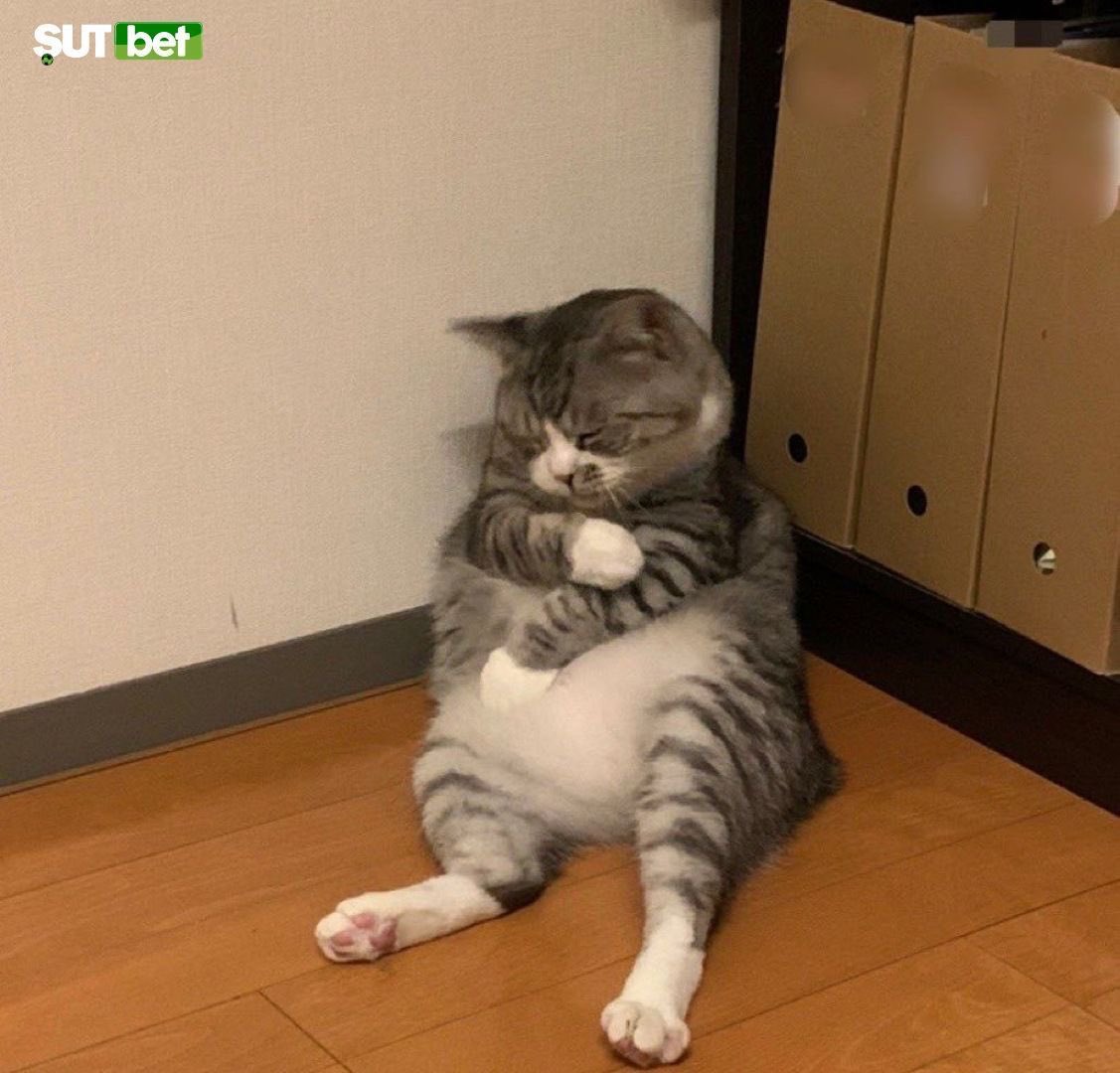 Смешные картинки до усрачки. С утра хотела свернуть горы в обед решила. Вдруг задремал. Вдруг задремал. Спи родная.